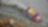 WRC 2025 Contest