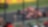 Trips to Monza